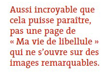 Le Télégramme 6.12.17_2.jpg