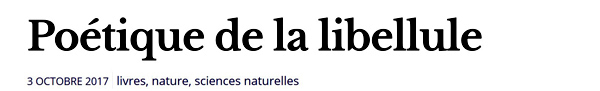 fleurdepluie1.jpg